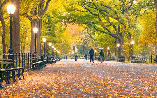 Central Park Travel Insurance